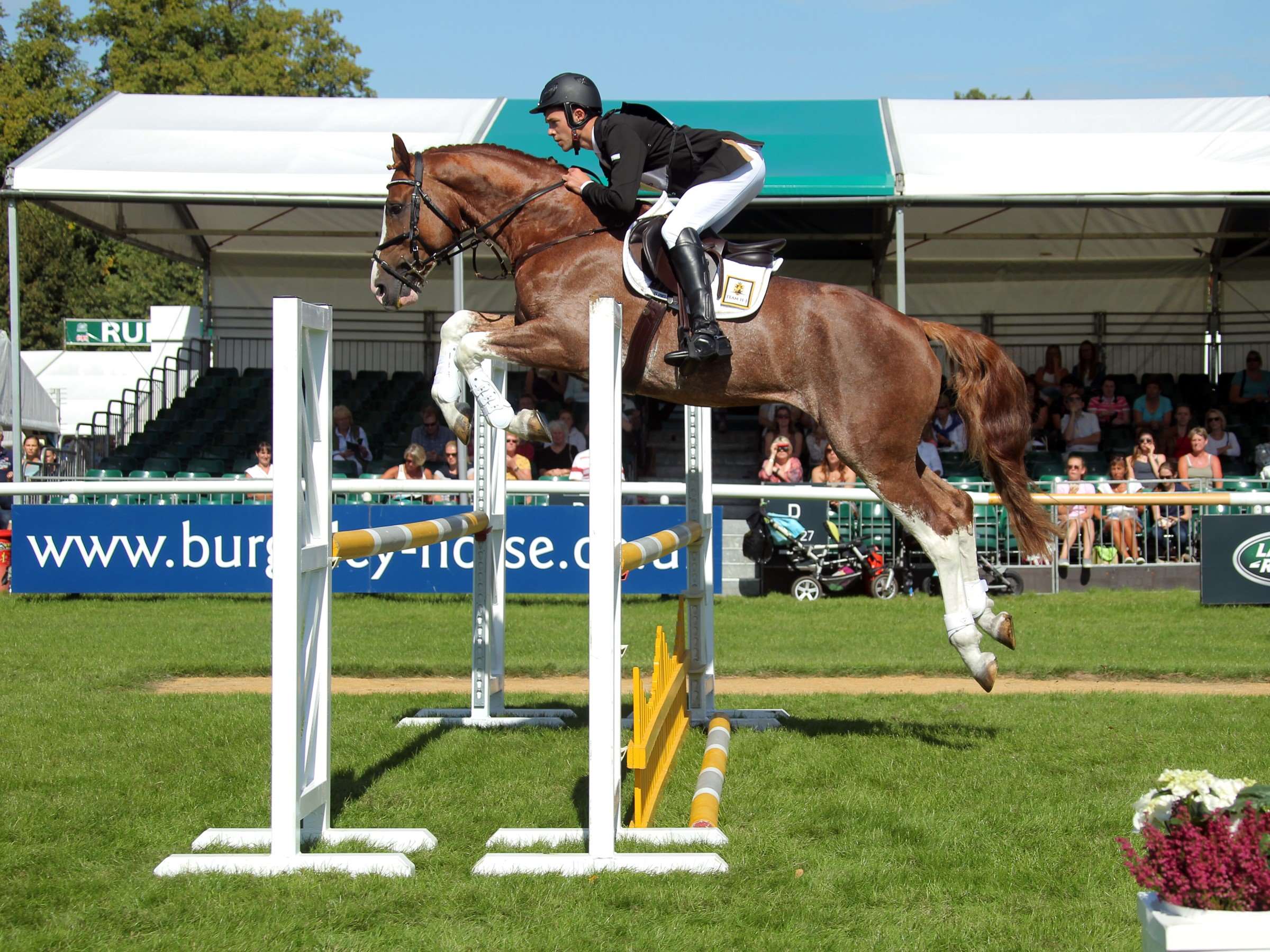 Hocus Pocus - Stallion AI Services - Joseph Hughes Jones Hocus Pocus - Stallion AI Services - Joseph Hughes Jones